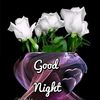smile31282