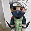 reval.yahya123