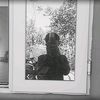 thoonsett99