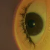 susu10741