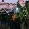 saru.hangchen
