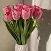 shosho_qw5
