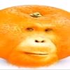 chupep096
