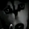 raphal2426