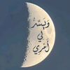 amira.nasser86
