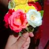 afsana.akter864