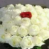 user5881147877938