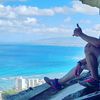 hunyein_fransisco2