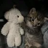 trnthmiln