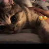latifabahij1