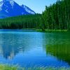 tanvir.ahmad7