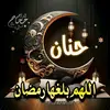 hanan_almasry
