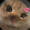 cristelelegan1