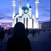 arii_limi