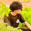 .hmo_m7