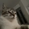 xiozinha_