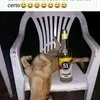 cafumoura525