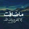 ابو Sallh123