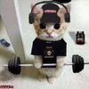 jay_gyym