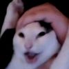 samuel.bsz