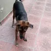usertyvf6pjtw1