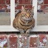 kittyelizabeth2023