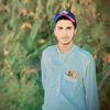 .musa.48