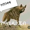 pandosohg