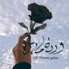 user8008041599706