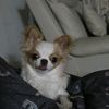 singto0907