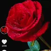 user50515214925528