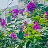 esrat7_7_2023