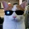 2vril4u