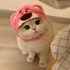 Pets.VN
