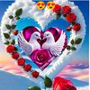 haji.ahmed67