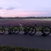 rosebike63