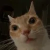 o_k123k