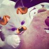 _nay355