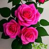 rosa mala