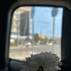 maty_27277