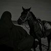 moonlight_.11111