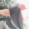 araa_trexx