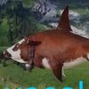broncoco