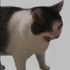 kyoufoundmethisismenero