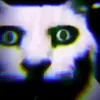 user1121193763911
