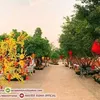 diemmaudao