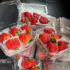 Lâm Anh Farm🍓