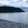 www.tiktok.marabierto