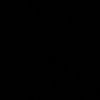 stelica_piratu