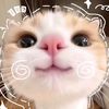 lufz_xzy